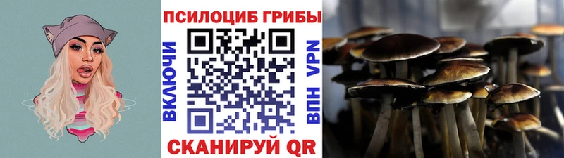 Псилоцибиновые грибы прущие грибы  где найти наркотики  Норильск 