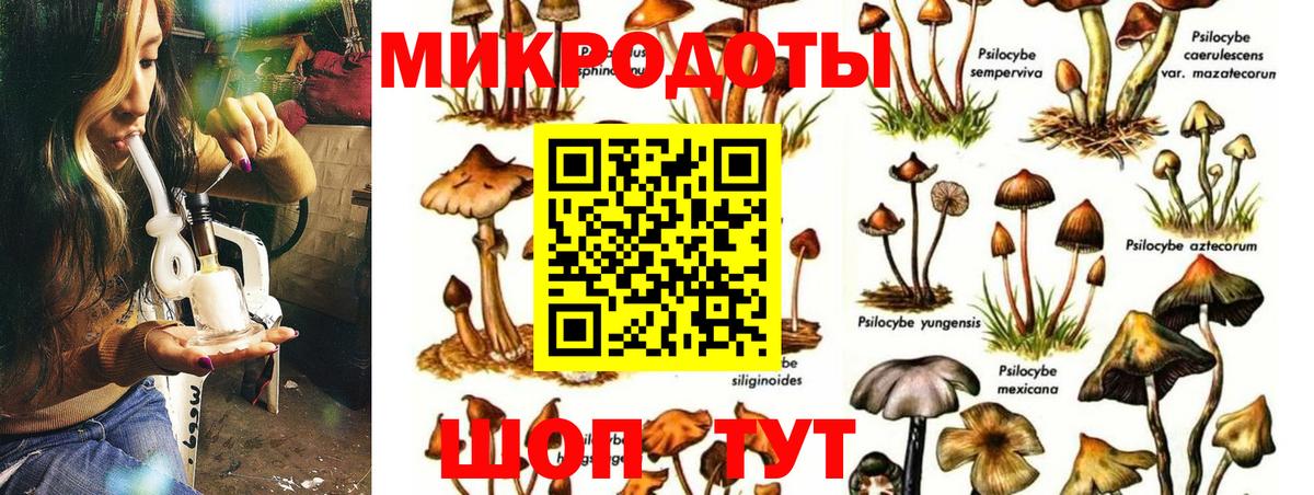  COCAIN Норильск