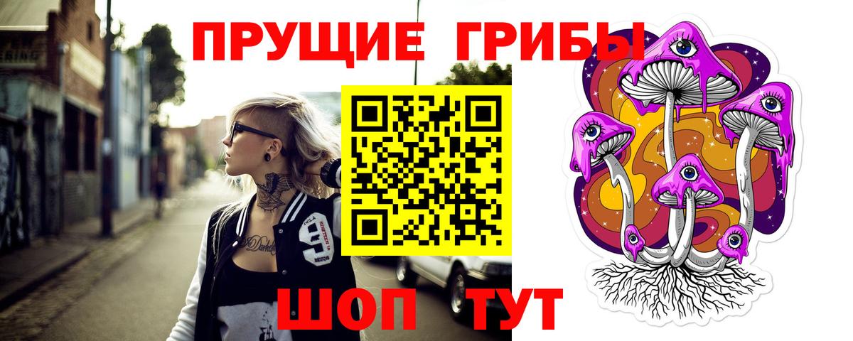 Псилоцибиновые грибы мицелий Норильск