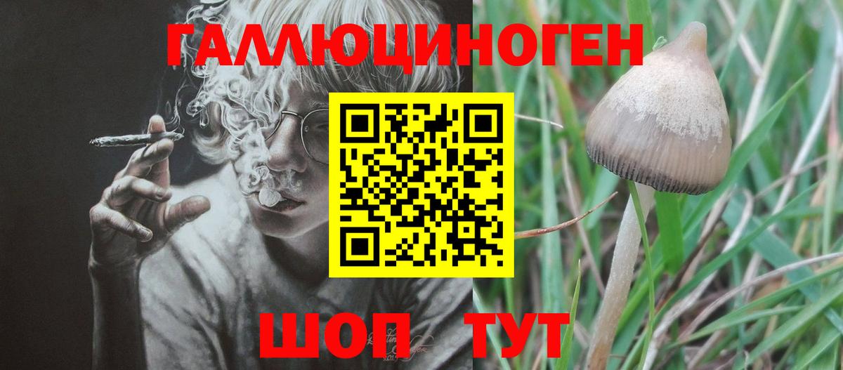 Норильск  Псилоцибиновые грибы Cubensis  Галлюциногенные грибы Cubensis  Вход с VPN 